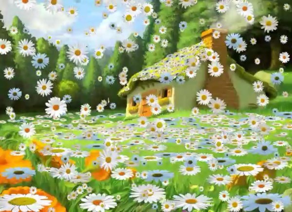 ромашковый рай