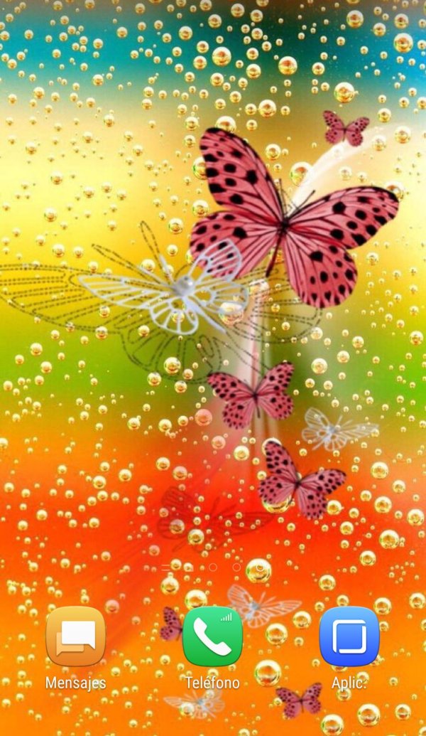 золотая бабочка живая