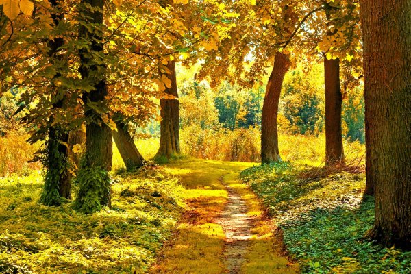 осенние пейзажи