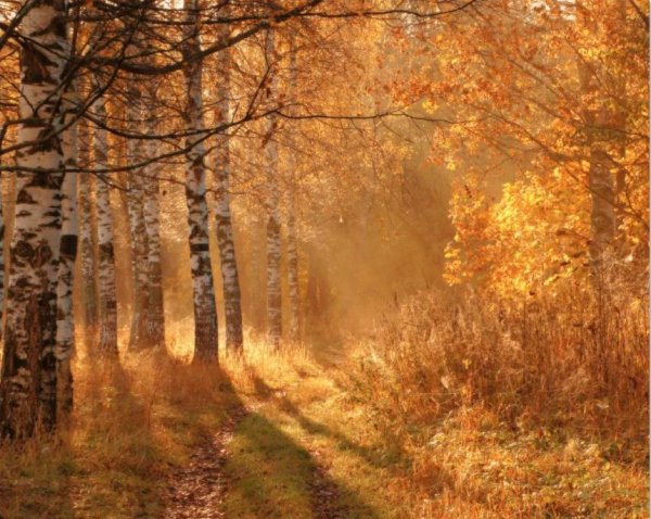 осень солнечная