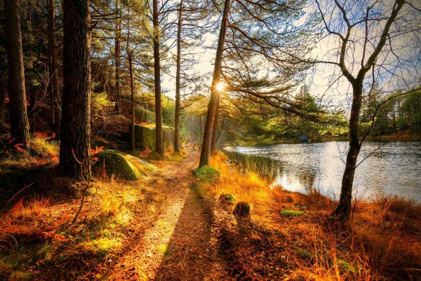 природа осени