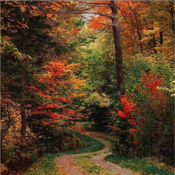 природа осенняя