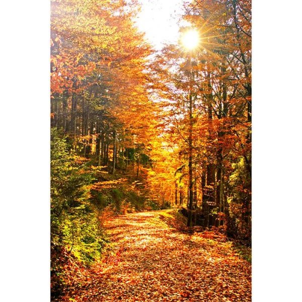 осенние пейзажи