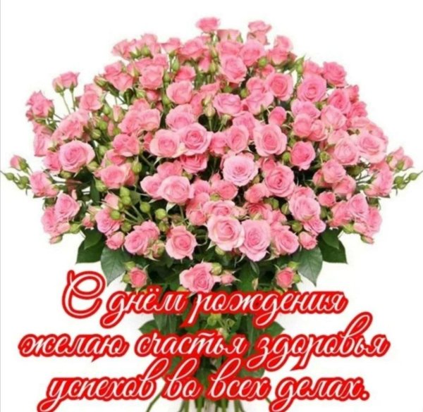 кустовая роза