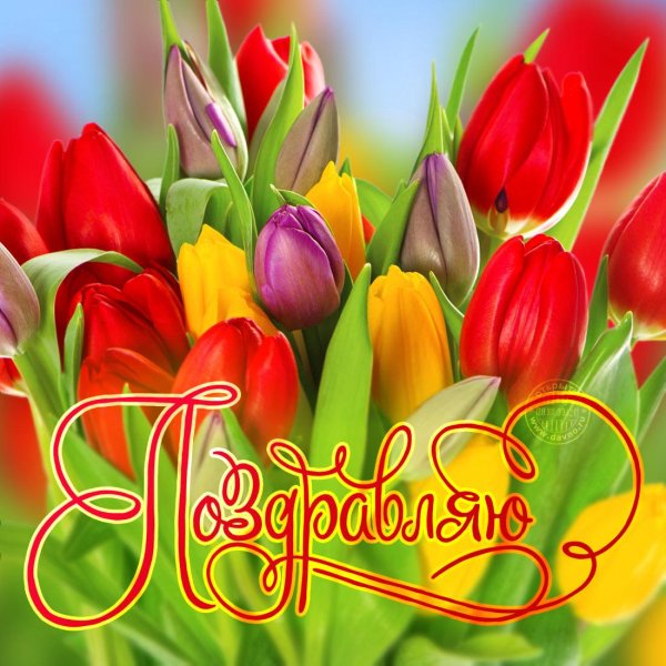 поздравляем открытка