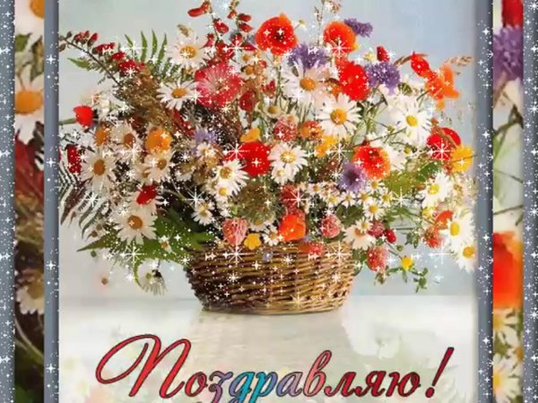 полевой букет