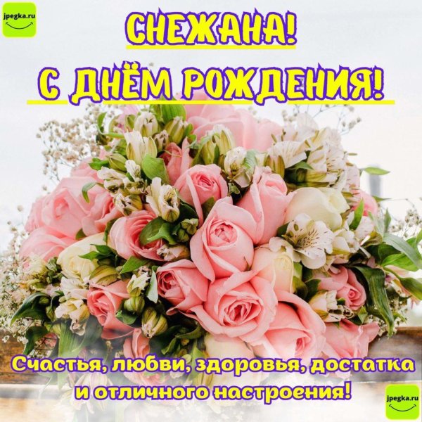 поздравление с днём рождения снежана