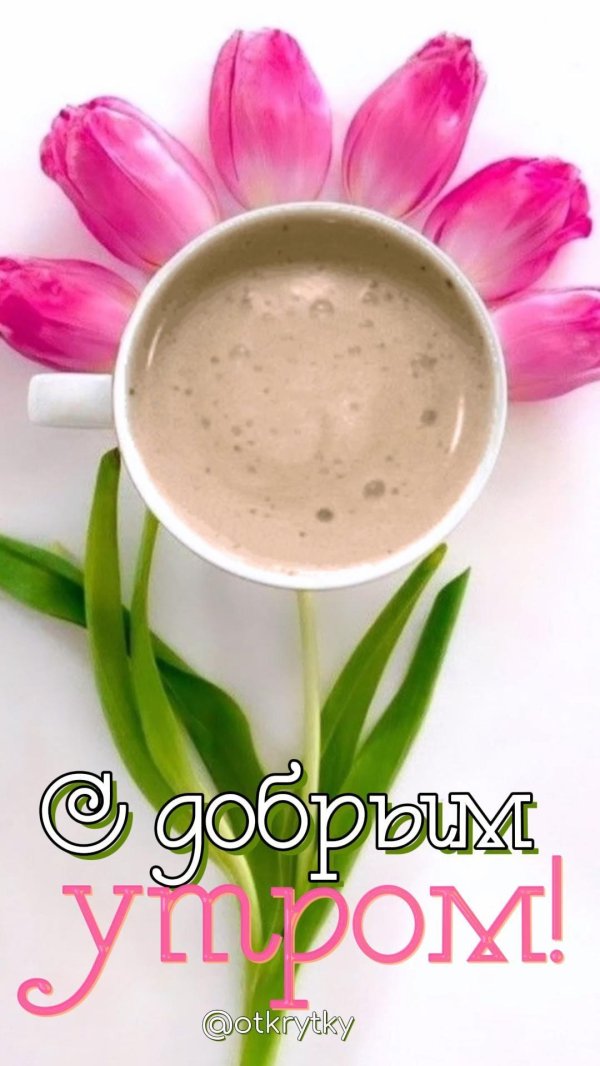 добра утра