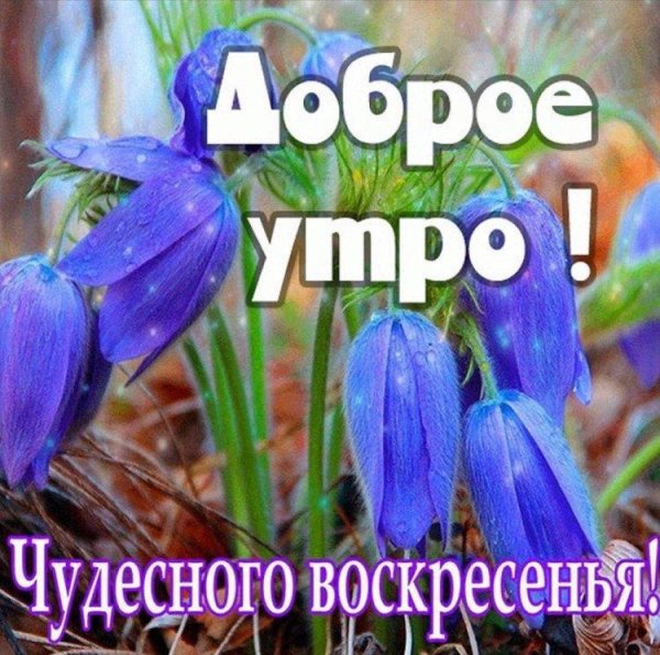 прекрасного воскресения
