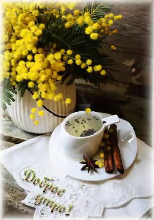 открытки с добрым мартовским утром красивые