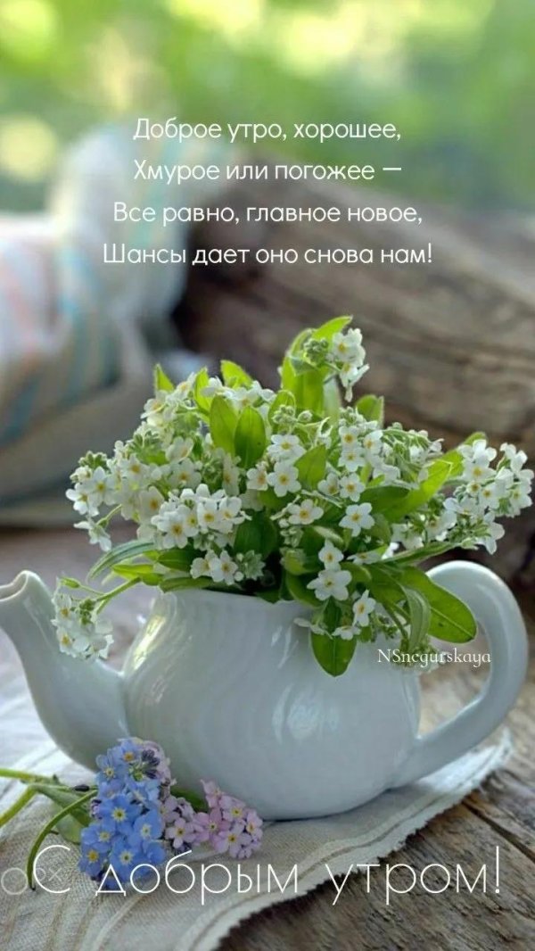 доброго утра весеннего