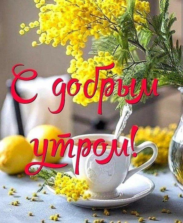 доброго утра весна