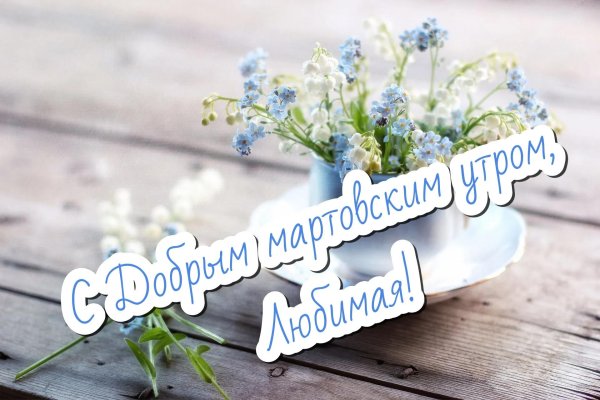 доброе утро незабудки