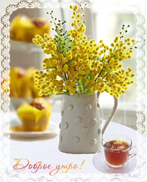 доброе утро и хорошего дня весенние