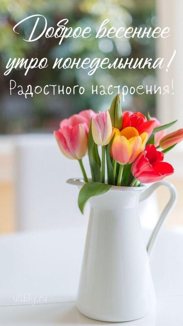 доброго весеннего утра понедельника