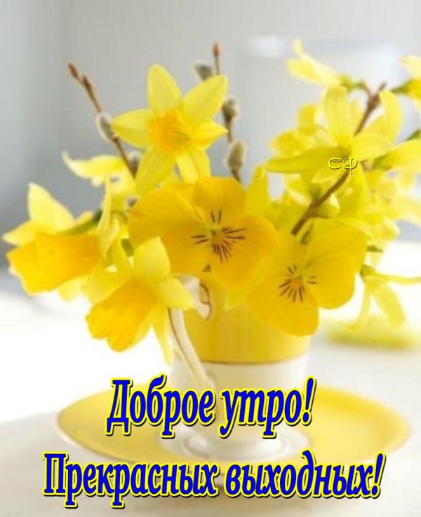 добрейшего весеннего утра