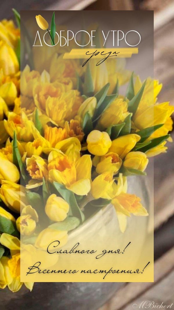 весеннее утро доброе