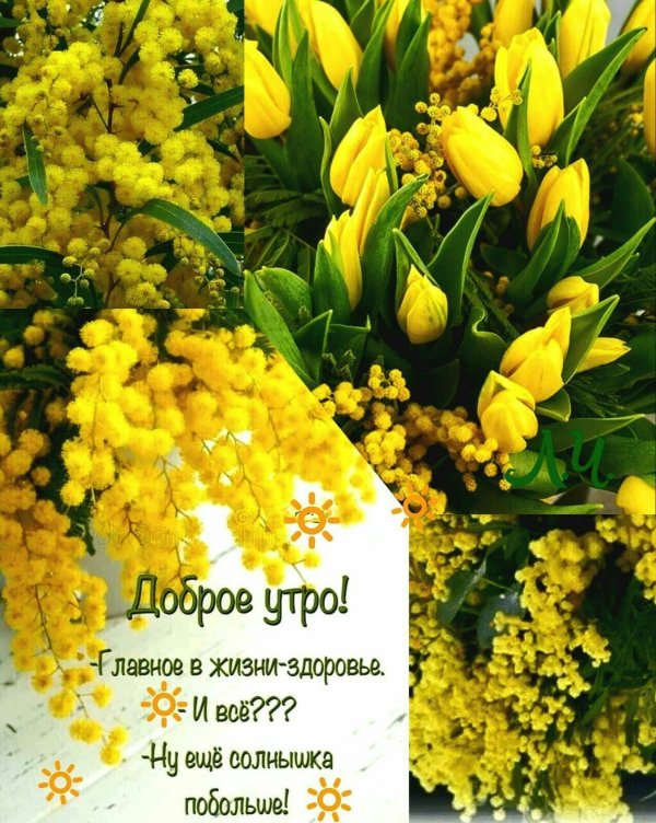 тюльпан с мимозой