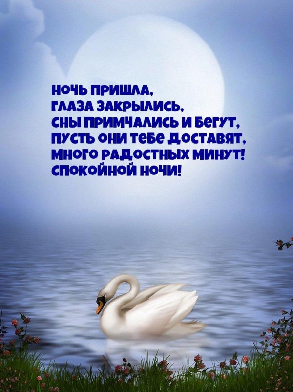 спокойной ночи с лебедями