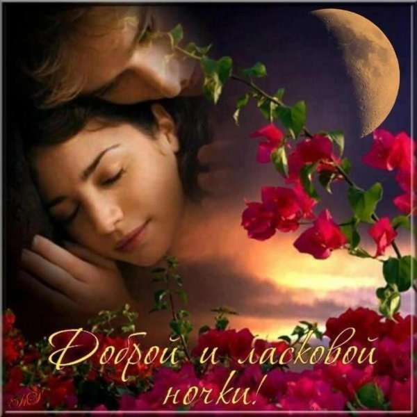 открытки спокойной ночи женщине романтические