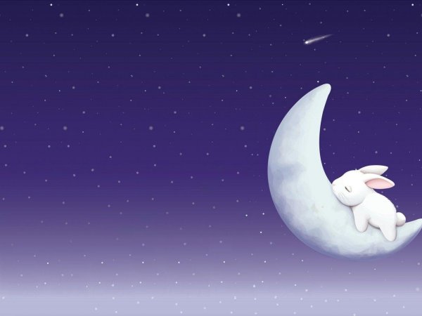зайчик на луне