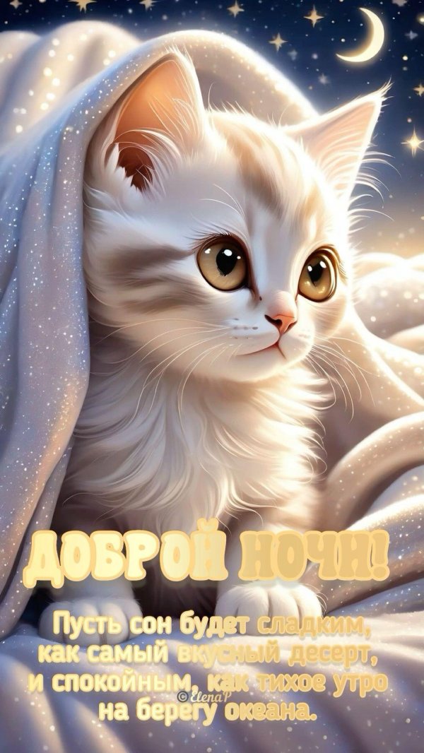 доброй ночи зверюшки