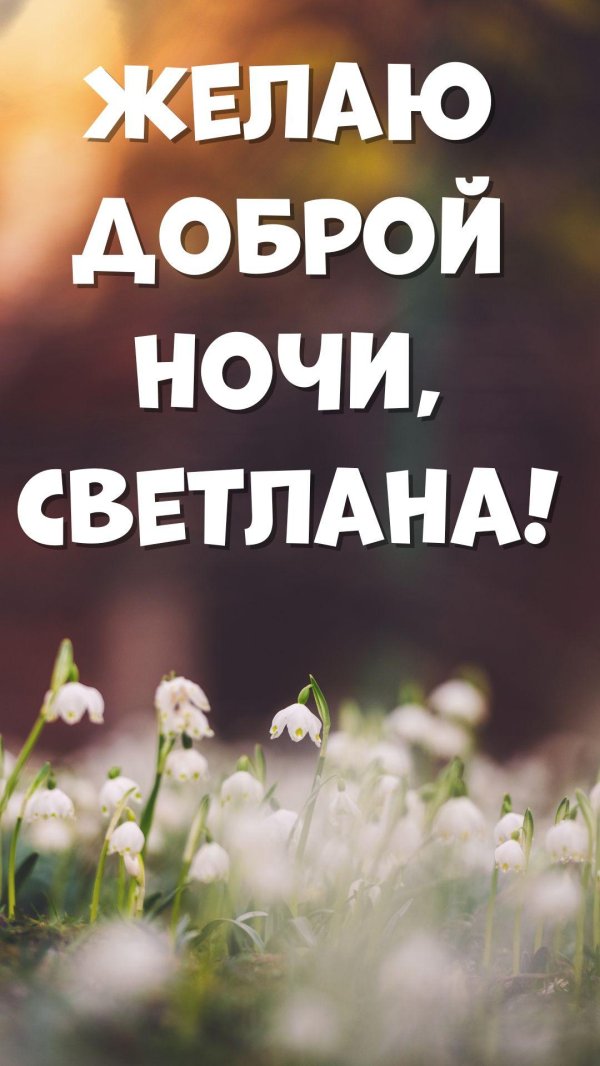 доброй ночи галя