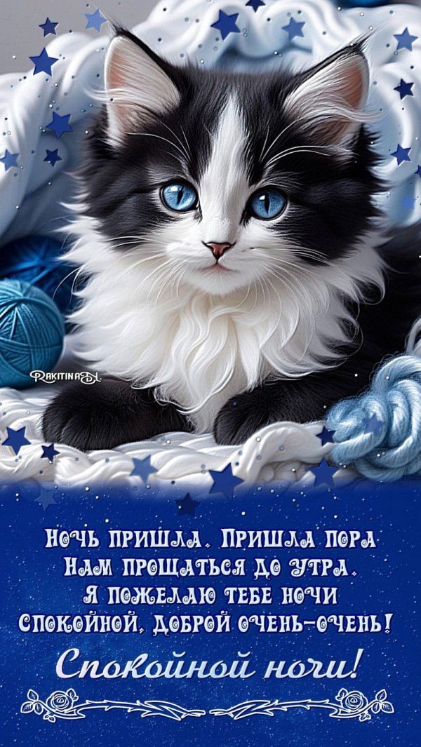 открытка спок ночи