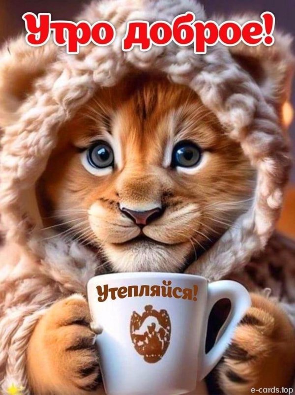 доброе утро утепляйся