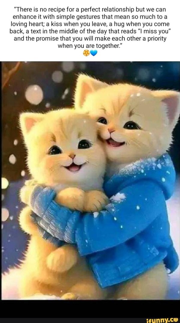 очаровательные котята