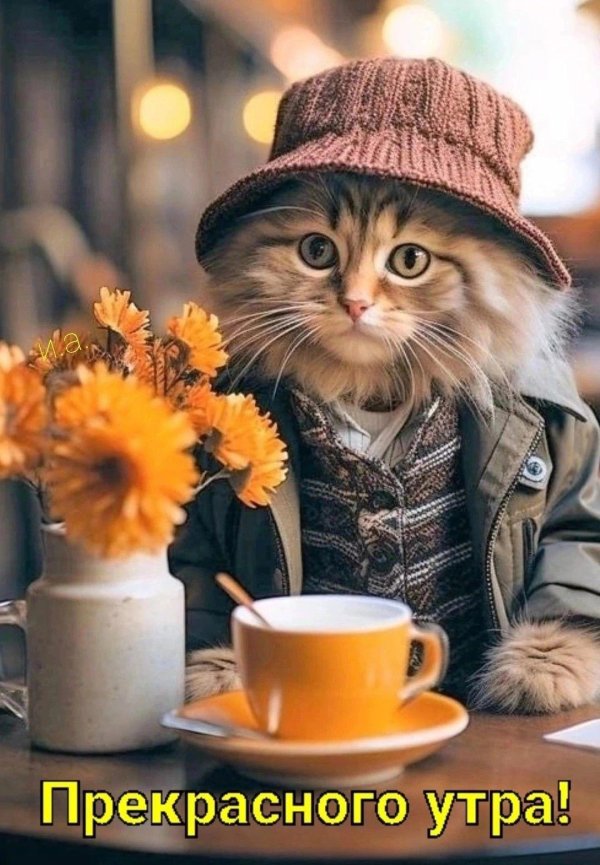 добрейшего утречка