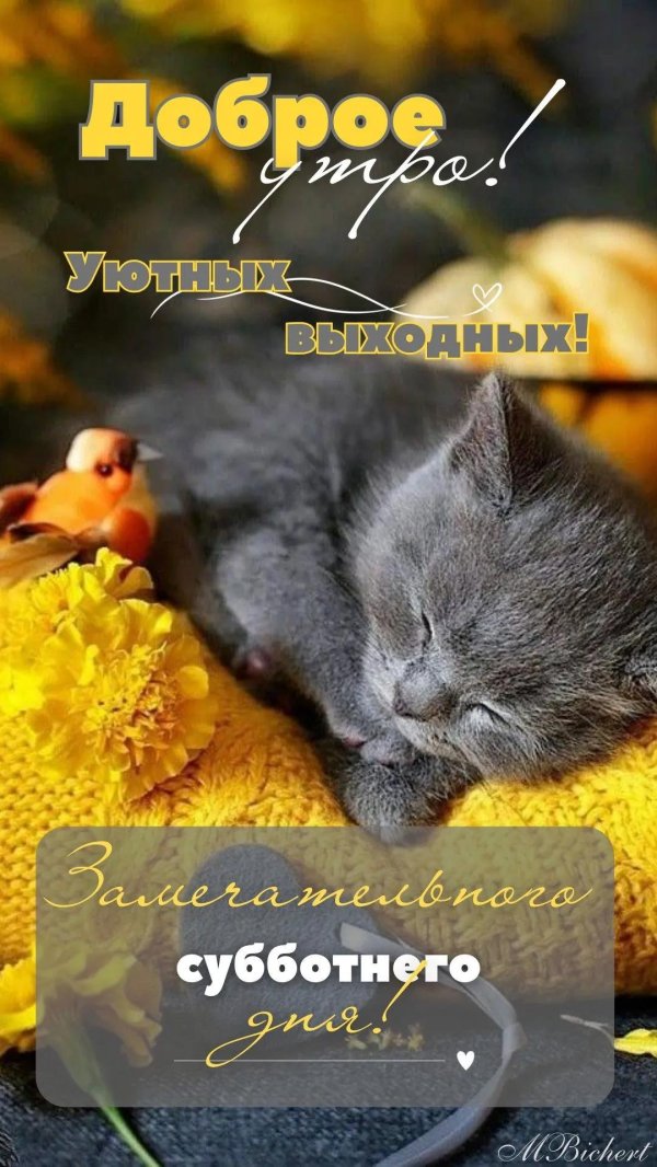 доброго субботнего утра