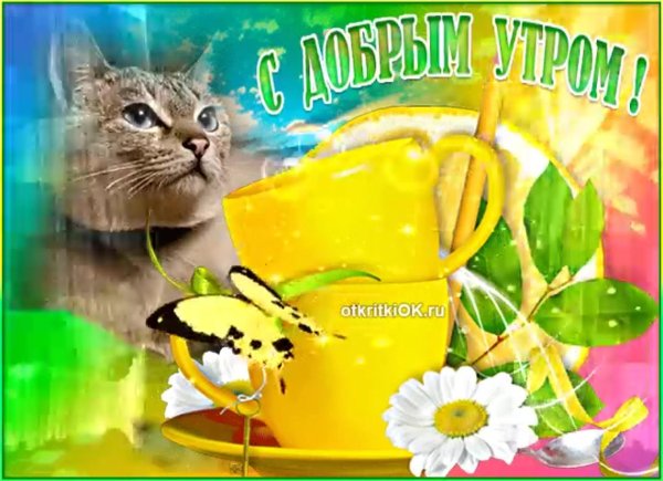 доброе утро в одноклассниках