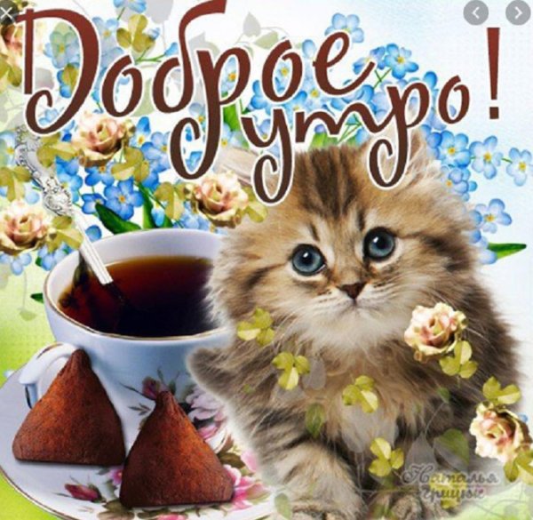 с добрым утром