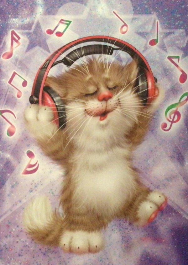 доброго утра с котиками