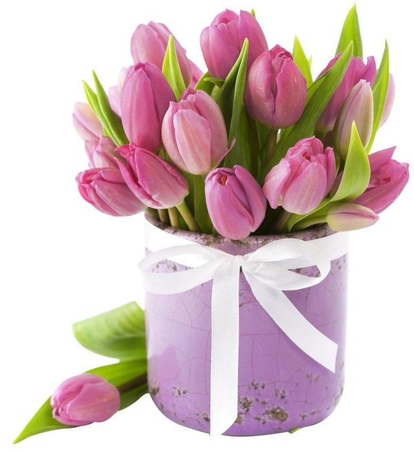 тюльпаны в коробках
