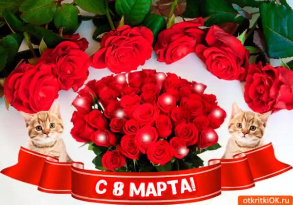 открытки с розами красивые