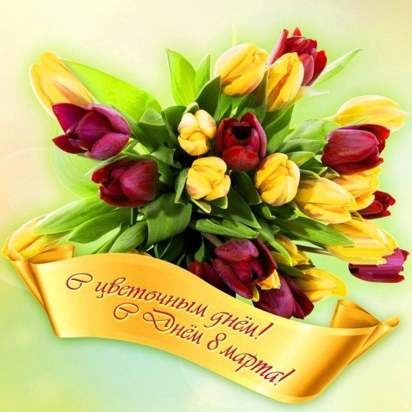 букет тюльпан