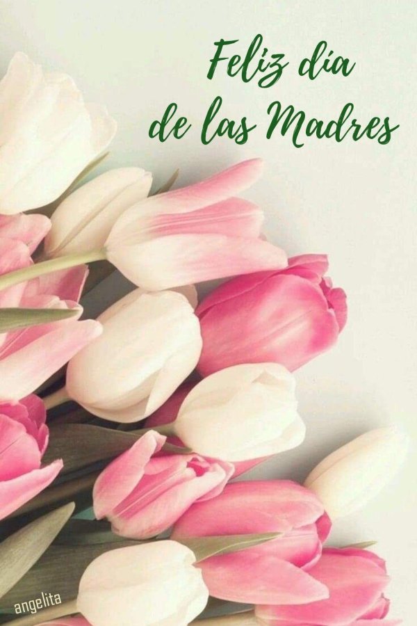 dia de la madre
