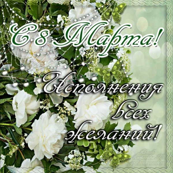 белые розы поздравление