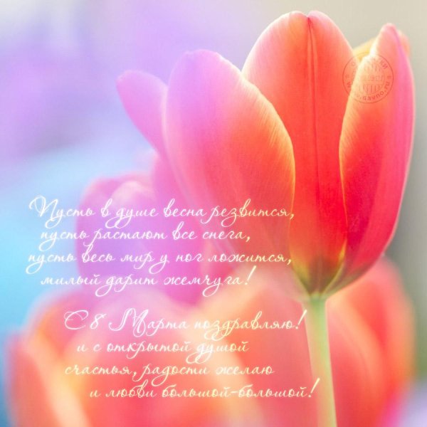 праздник весны