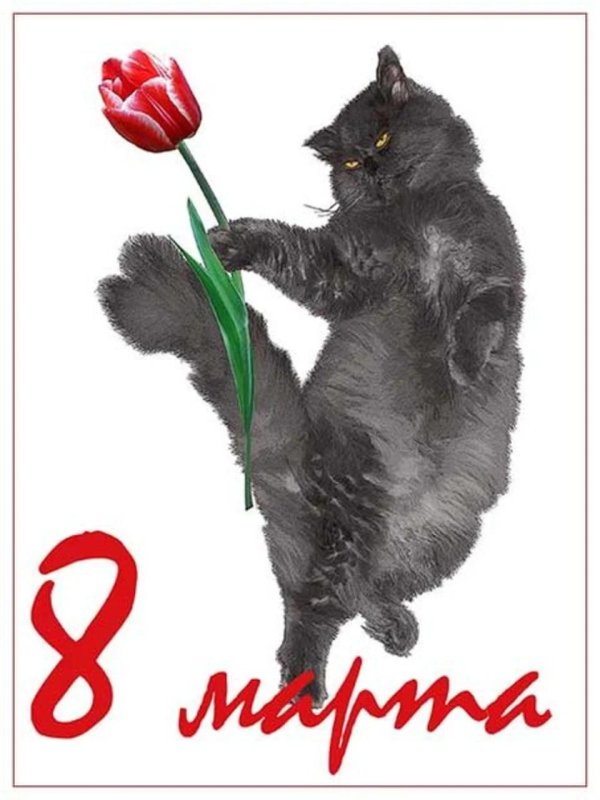 открытка на 8 марта котики