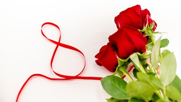 красная роза