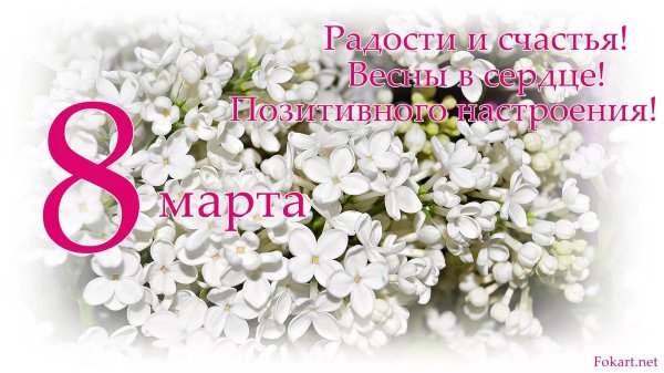 сирень белая