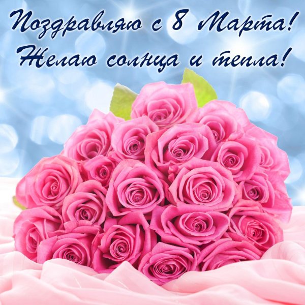 розовая роза