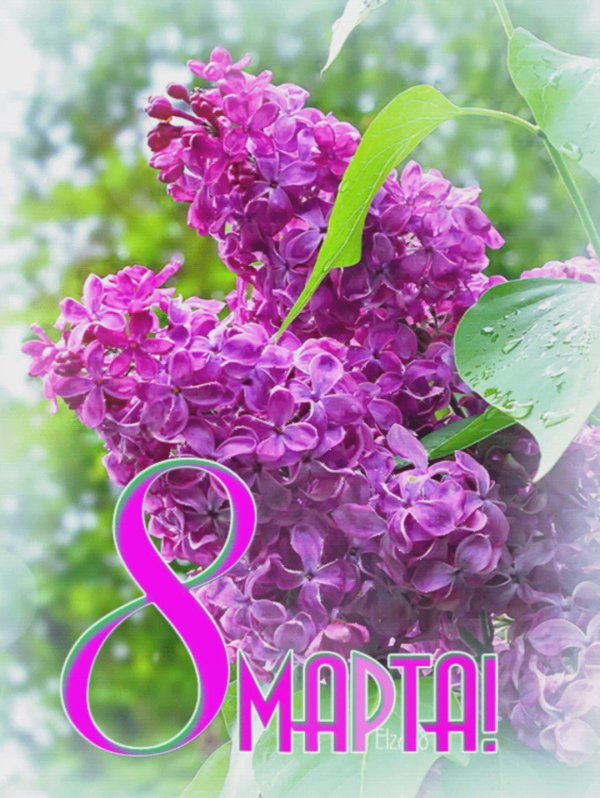 на 8 марта