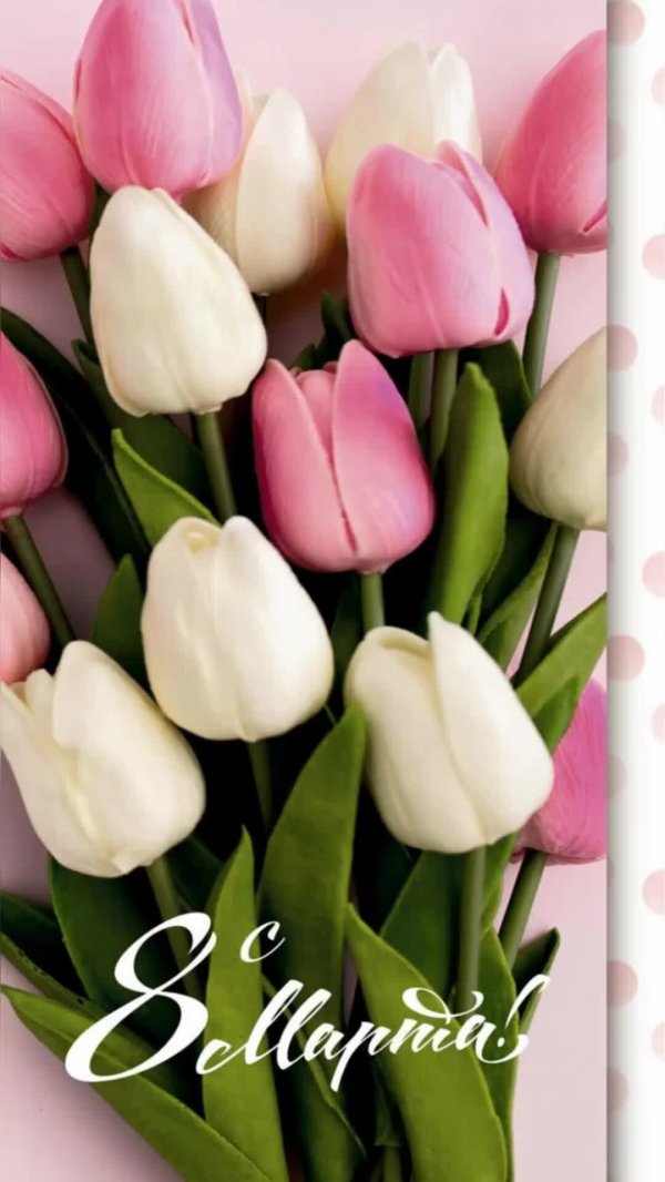 с международным женским днем 8 марта