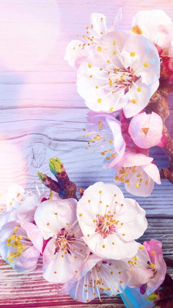 весенние фоны