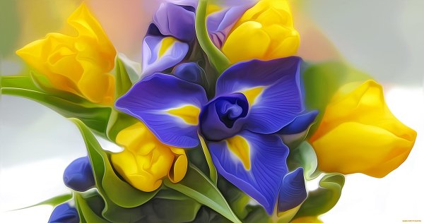 открытка с ирисами