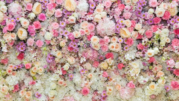 цветочная стена